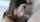 blowjob brunette facial