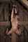 bondage nude suspension