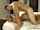 pronebone camgirl xnxx