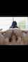 camgirl amateur brunette