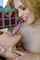 amateur lesbian tongue kissing