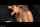 oral creampie amateur straight