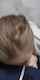 blonde blond blowjob