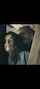 camgirl amateur brunette