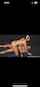 tattoo brunette riding
