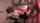 amateur threesome old