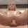 reverse cowgirl blonde