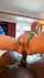 bbc anal blonde