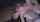 jav creampie beautiful girl