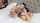 bedroom vaginal creampie homemade