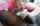 handjob blowjob big cock