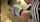 asian japanese jav