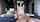 japanese jav big tits