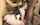 cheerleader gangbang bbc