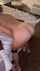 bbc interracial blowjob