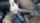 asian blowjob interracial