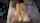 latina cuckold amateur