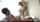 jav japanese beautyspot