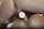 bbw blowjob facial