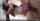 housewife jav japan