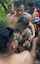 outdoors gangbang blonde