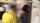 brunette teen shoplyfter