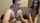 camgirl amateur webcam