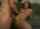 creampie tattoos skinny