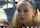 blonde blond supporting role