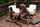 ebony anal threesome
