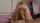 blonde sucking blowjob