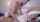 blowjob sexy wife