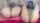 camgirl amateur queef