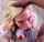 blowjob bbc blonde
