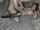 camgirl amateur stockings