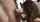 brunette latin blowjob