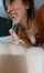 brunette blowjob facial