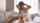 asian japan big tits