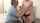 teen skinny pornstar