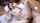 sex jav asian