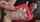 jav asian sex