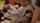 sex jav asian