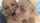 blonde blue eyes caucasian