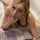 blonde blowjob big tits