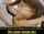 creampie interracial jaylynn sinns