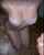 tits big tits cumshot