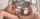 threesome blowjob big dick