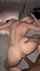 interracial pov doggystyle