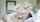 blonde big breasts breast sucking