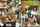 japan jav teen